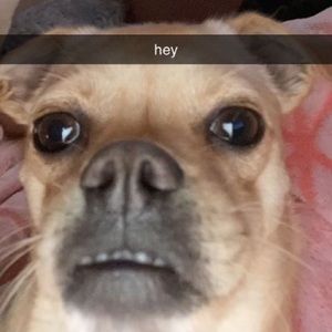 Meet your Posher, William